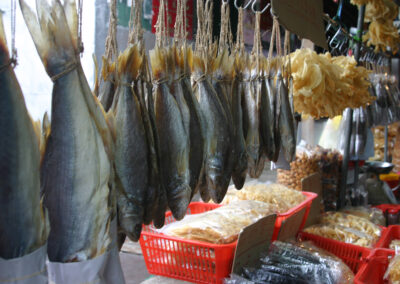 Fish Market in Hong Kong